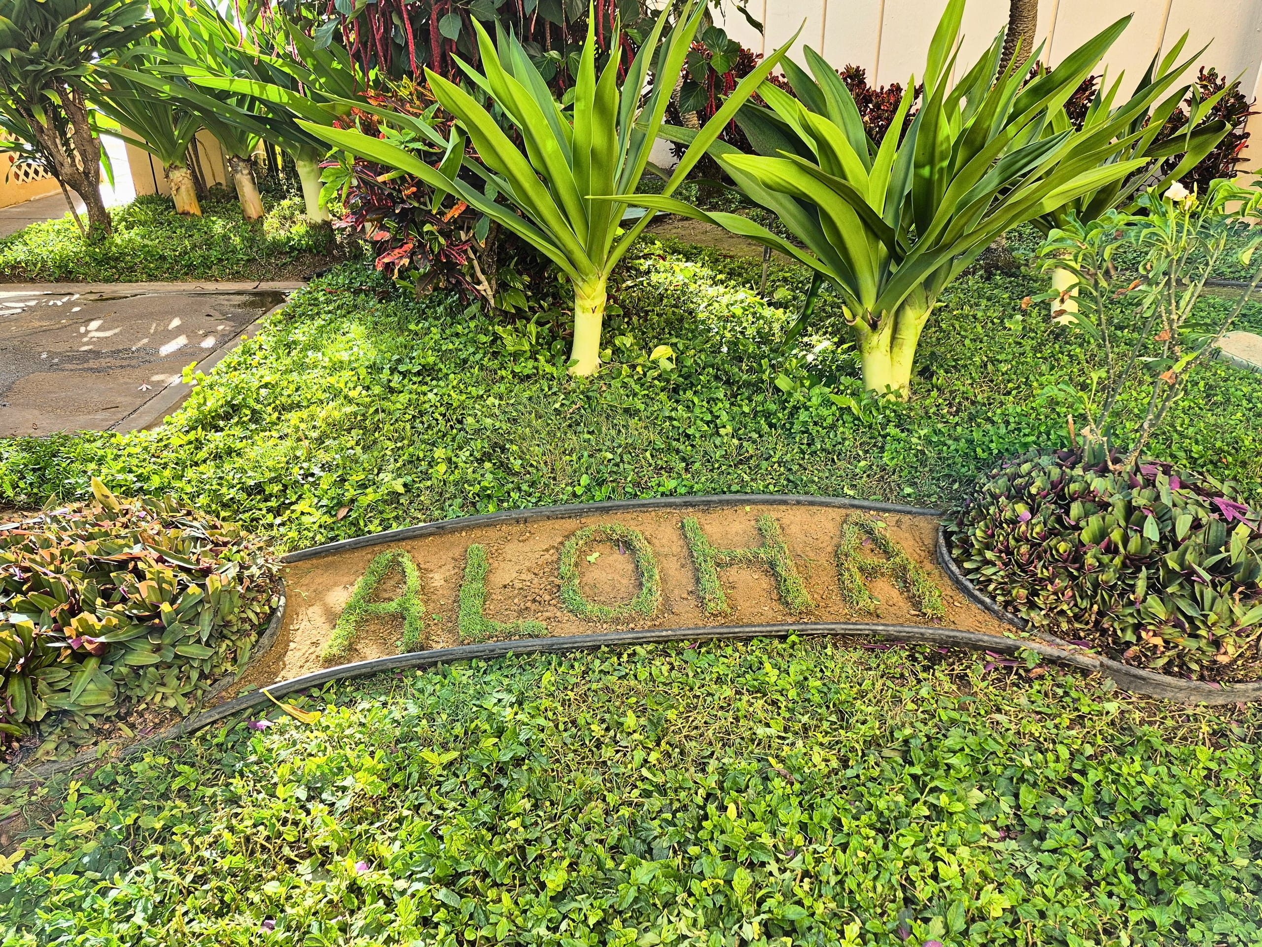 Condo in Kihei · ★4.85 · 1 bedroom · 2 beds · 1 bath - Image 27