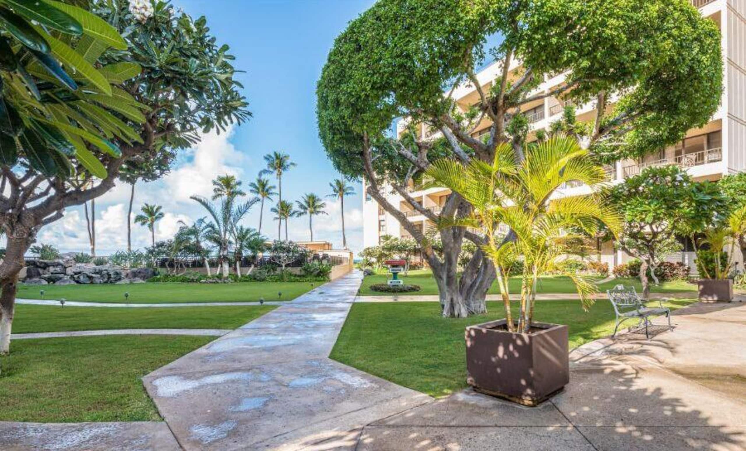 Condo in Kihei · ★4.85 · 1 bedroom · 2 beds · 1 bath - Image 17