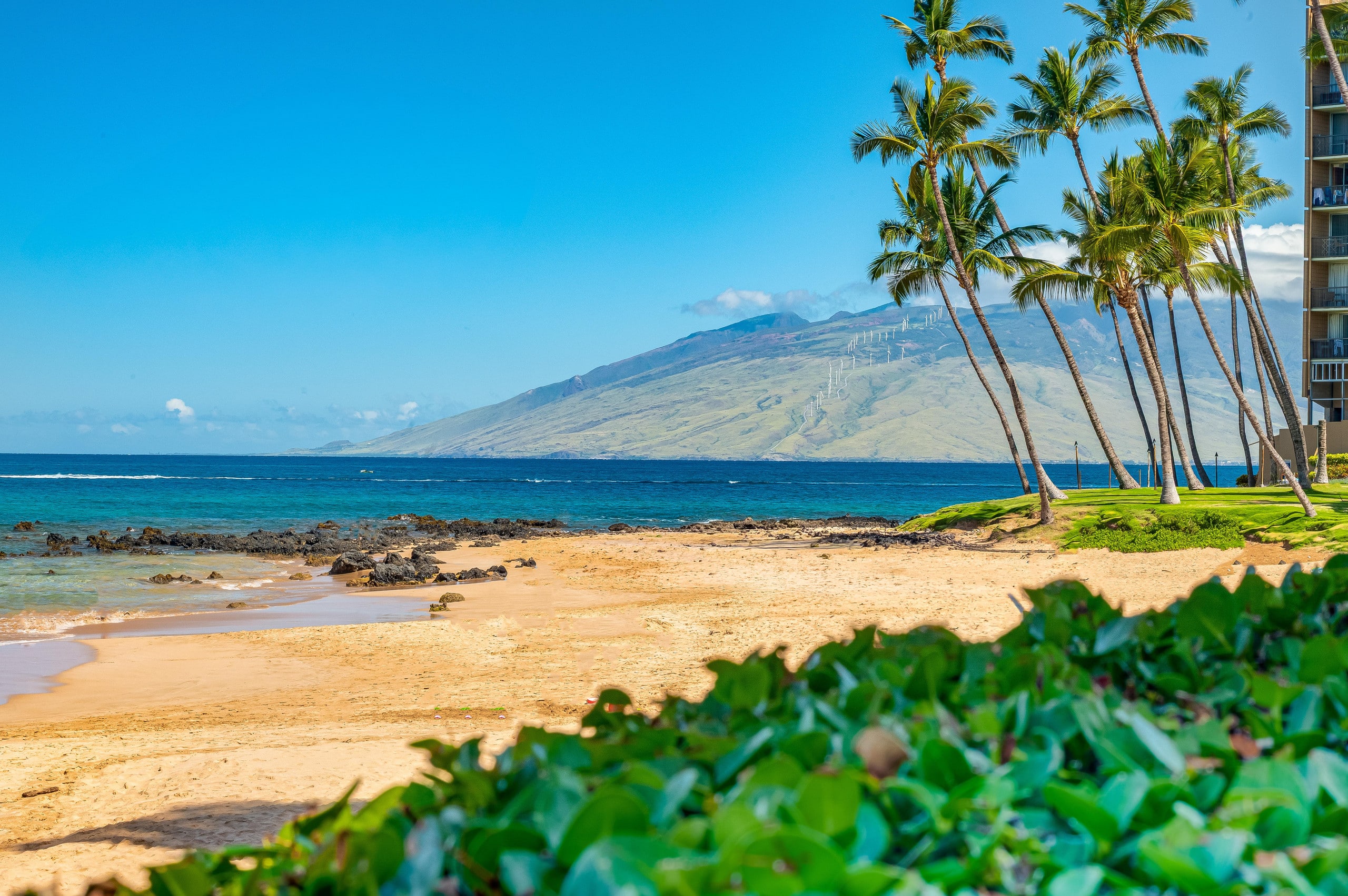 Condo in Kihei · ★4.86 · 2 bedrooms · 3 beds · 2 baths - Image 10