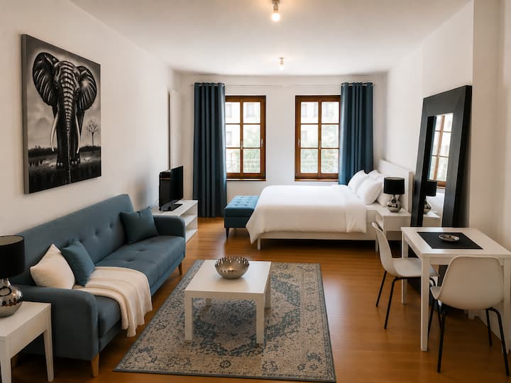 Old Town Geneva - 1 Bedroom (18.3) - Genf