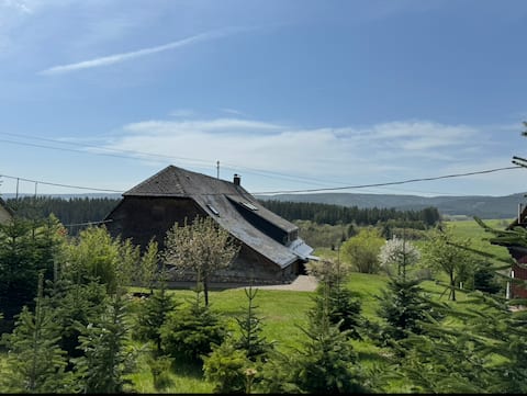 Popular Airbnb listing: Ruhepol 2 directly at the "Wolfmoos II" nature reserve in Lenzkirch