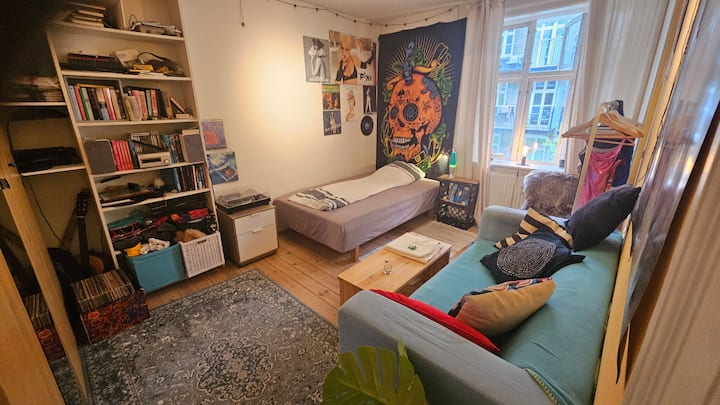 Stort Lyst Værelse Centralt I København - Copenhague