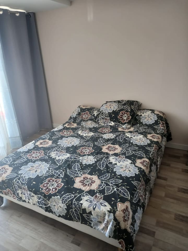 A. Appart T1 Bis Attenante à Une Maison 550e/mois - Fenouillet