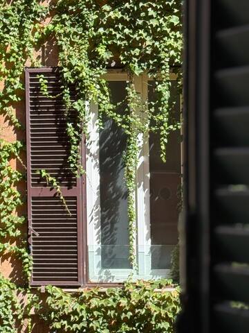 Amazing downtown large group luxury accommodation