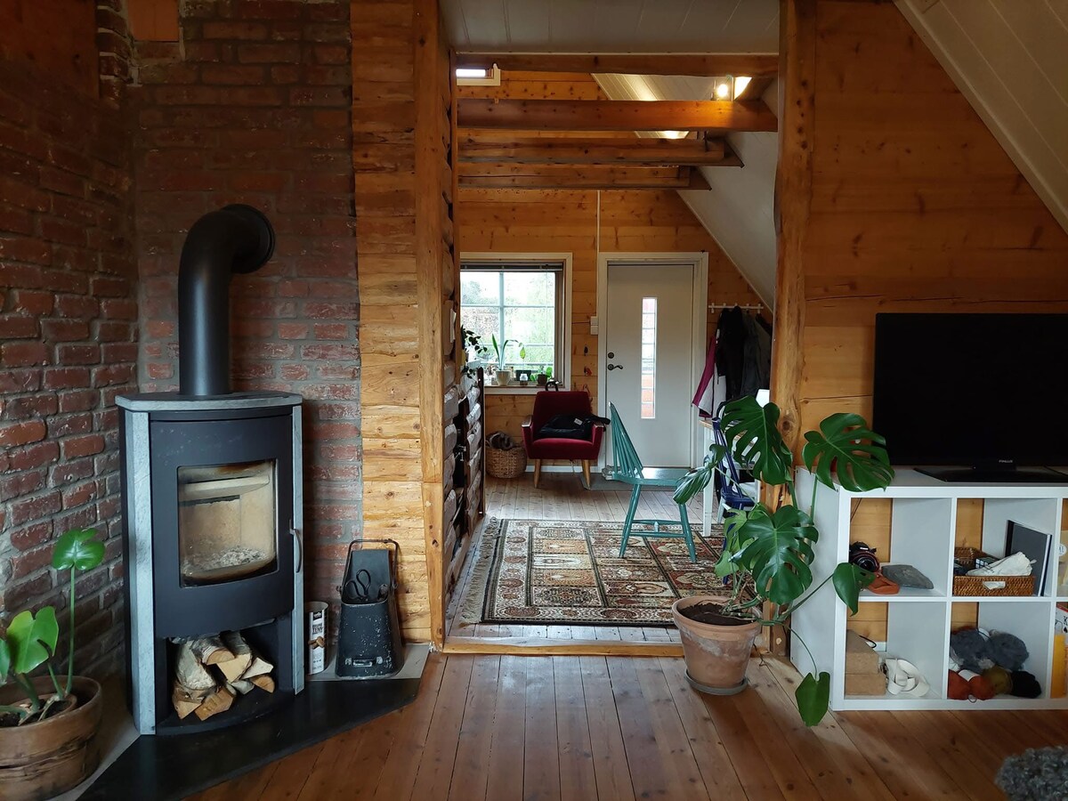 An inviting living space features warm wooden walls and a cozy wood-burning stove. A colorful rug covers the floor, leading to a bright window that offers natural light. A small seating area is arranged with a chair and plant, creating a relaxed atmosphere.
