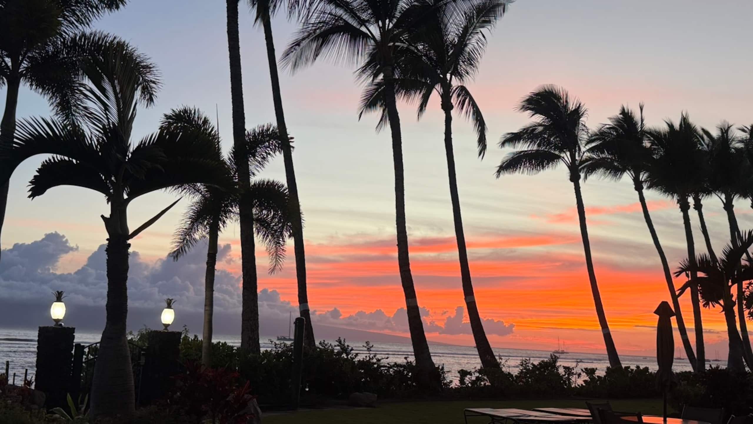 Condo in Lahaina · ★4.85 · 1 bedroom · 1 bed · 1 bath - Image 20