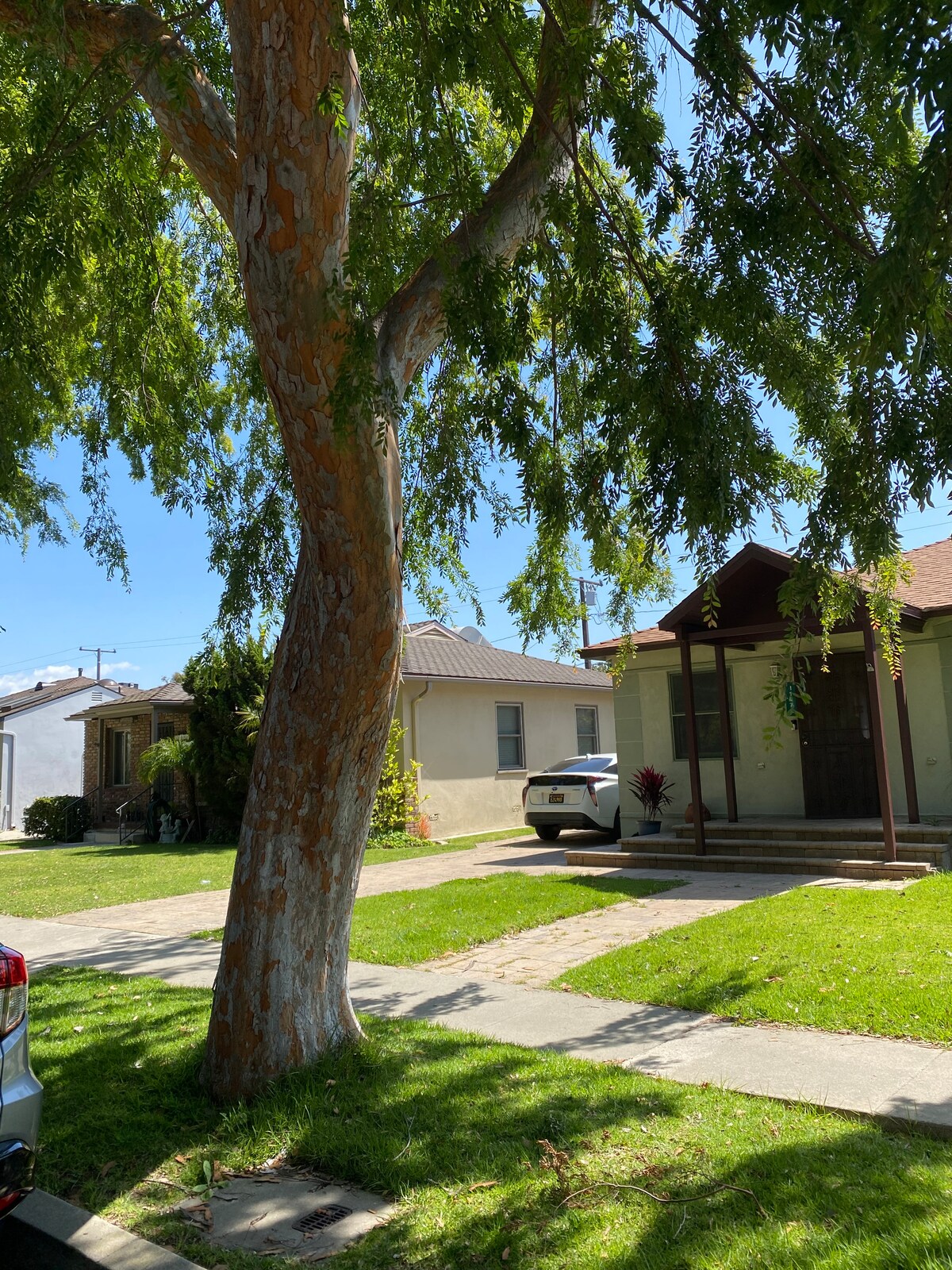 A view of a residential street is captured, featuring a large tree providing shade on the green lawn. Two houses are visible, with one having a porch and welcoming entrance. A vehicle is parked in the driveway, indicating accessibility.
