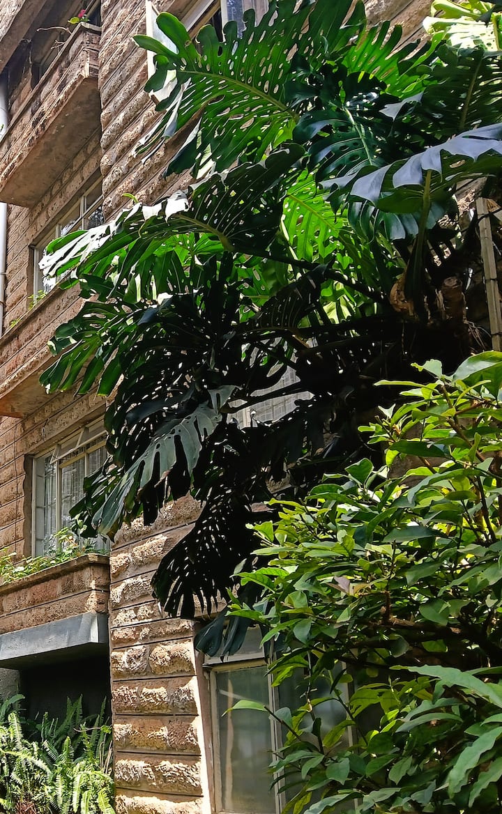 2 Bedroom-brookview Apartments-kilimani (Monthly) - Nairobi