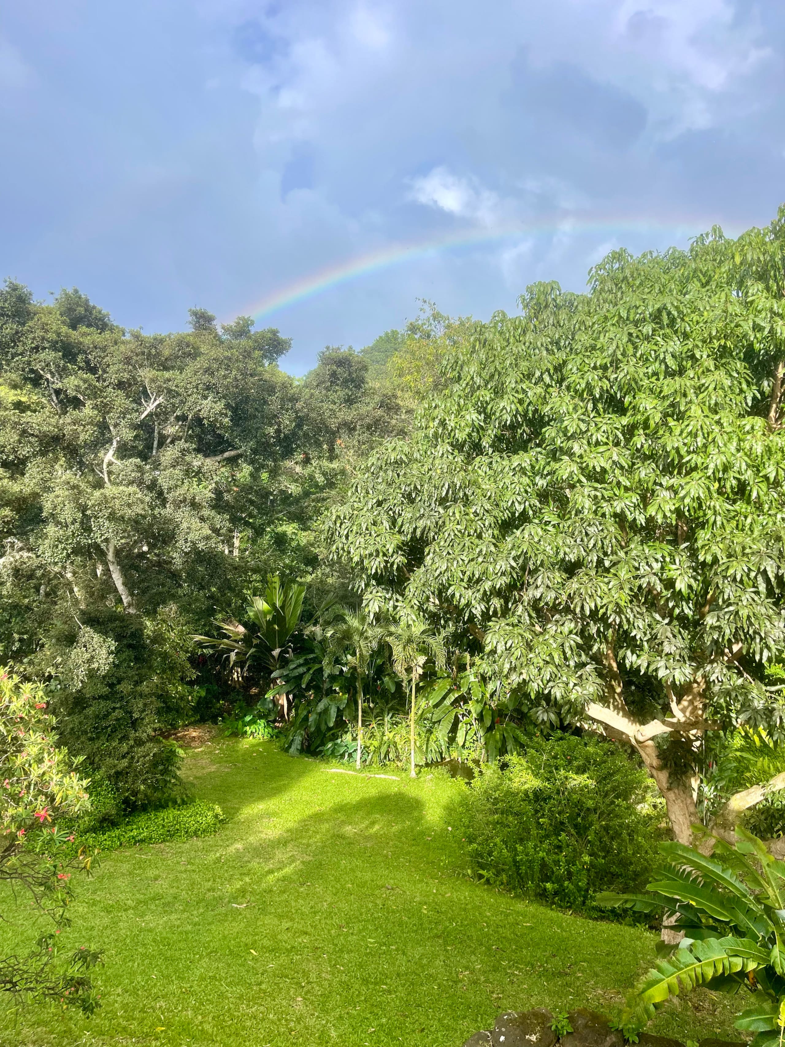 Home in Princeville · ★4.98 · 4 bedrooms · 5 beds · 2.5 private baths - Image 9