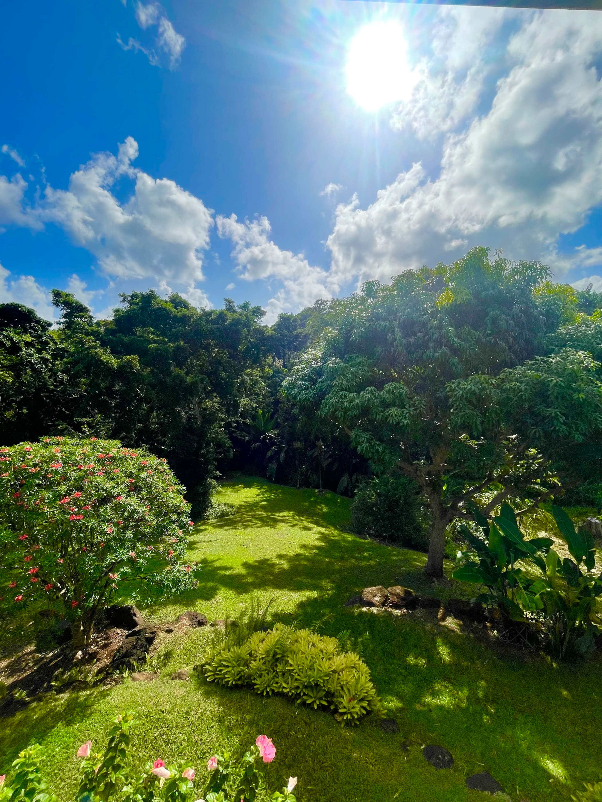 Home in Princeville · ★4.98 · 4 bedrooms · 5 beds · 2.5 private baths - Image 8