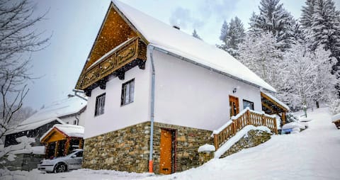 Cottage near Kašperk Castle (possibility of renting a canoe)