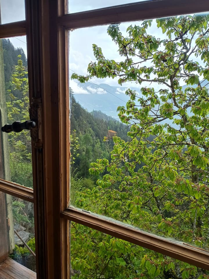 Vista desde la ventana sur, a principios de mayo