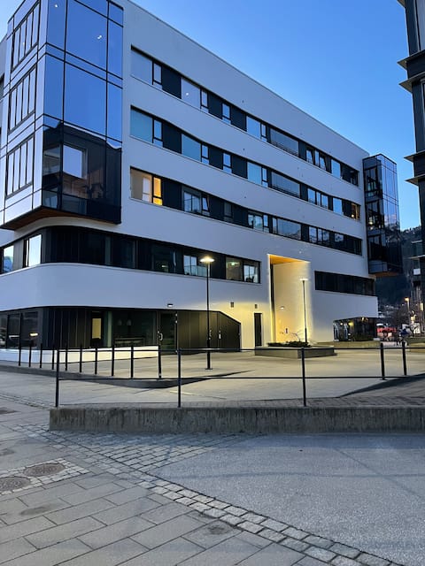 High standard Apartment centrally located in Førde