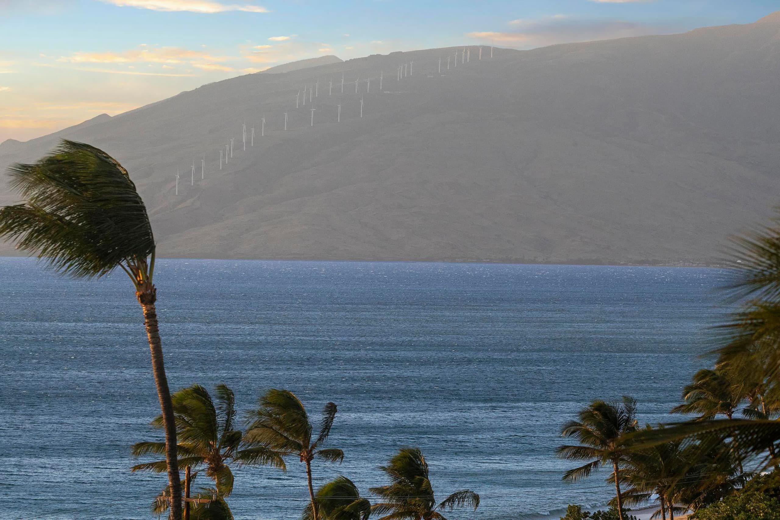 Condo in Kihei · ★4.85 · 2 bedrooms · 2 beds · 2 baths - Image 36
