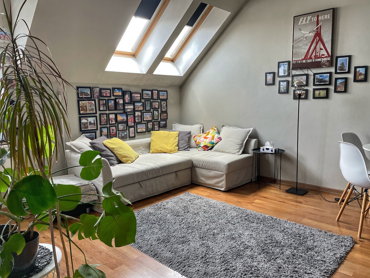 A bright living room is featured, with sky-windows allowing natural light. A spacious, light-colored sofa is adorned with yellow and patterned cushions. A gallery wall with framed photos adds interest. A grey area rug covers the wooden floor, and a potted plant provides greenery.