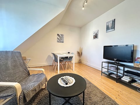 Strasbourg Zénith 3-room apartment ***