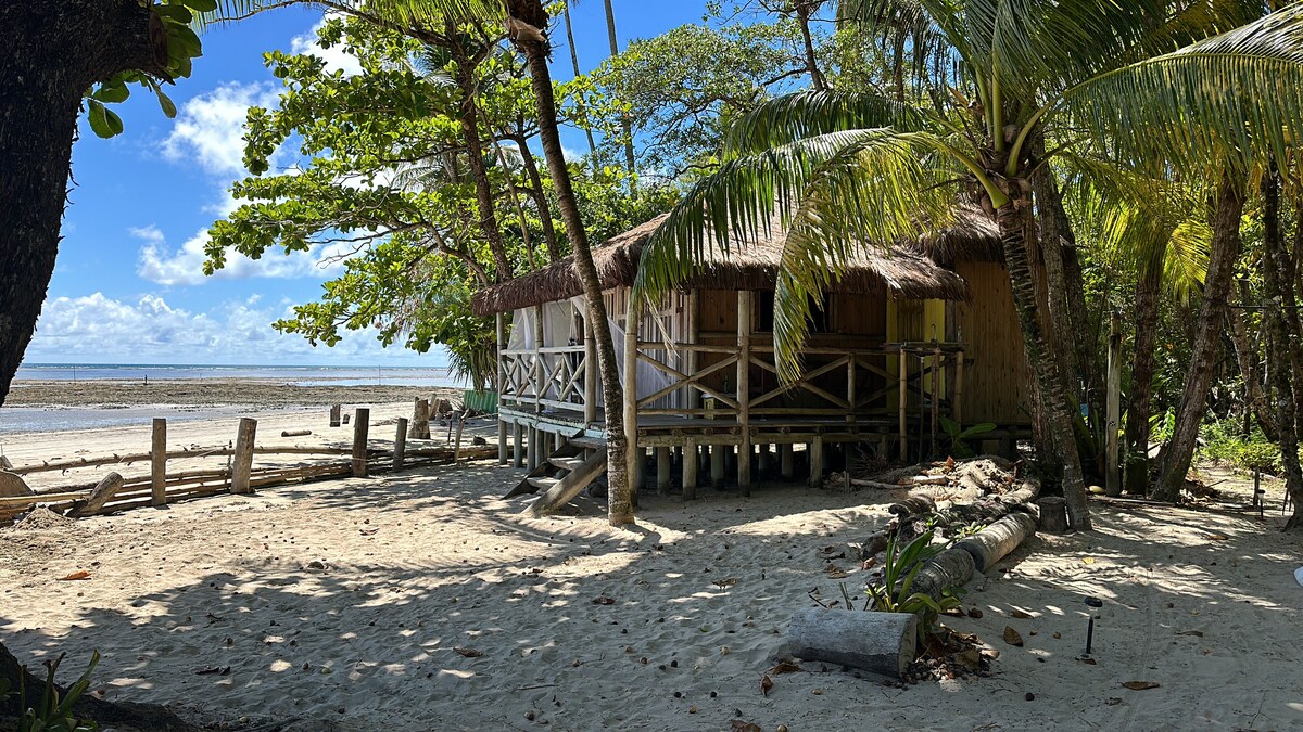 A rustic bungalow is situated amidst native trees and tropical foliage, raised on stilts above sandy ground. The expansive ocean vista can be seen in the distance, framed by swaying palm branches and vibrant greenery.