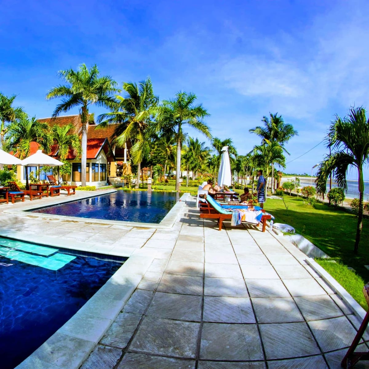 A spacious outdoor area is showcased, featuring a swimming pool surrounded by sun loungers and umbrellas. Lush palm trees and landscaped gardens enhance the setting, while a clear blue sky provides a serene backdrop. The pool area is visible, providing a relaxing spot for guests.