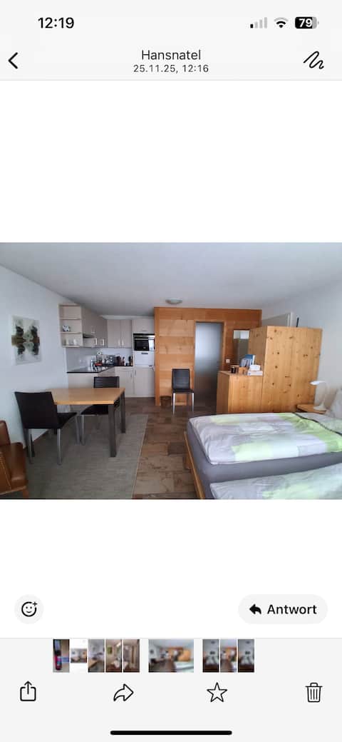 Top performing Airbnb: Cozy 1 bedroom apartment in Zweisimmen