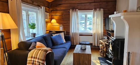 Popular Airbnb listing: Vetlstugu Søre Traasdahl cottage No 4. in Lesja