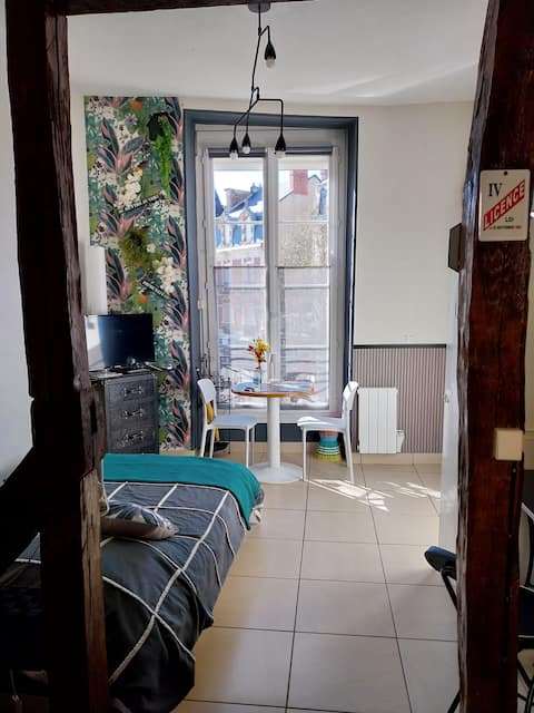 Airbnb performant: Studio with character République and Old Mans à Le Mans
