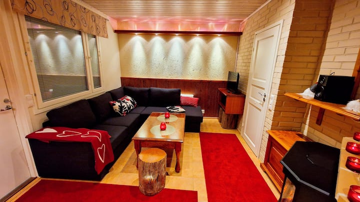 Fireplace room  with sofa bed  for 2 persons , flat tv, electric fireplace