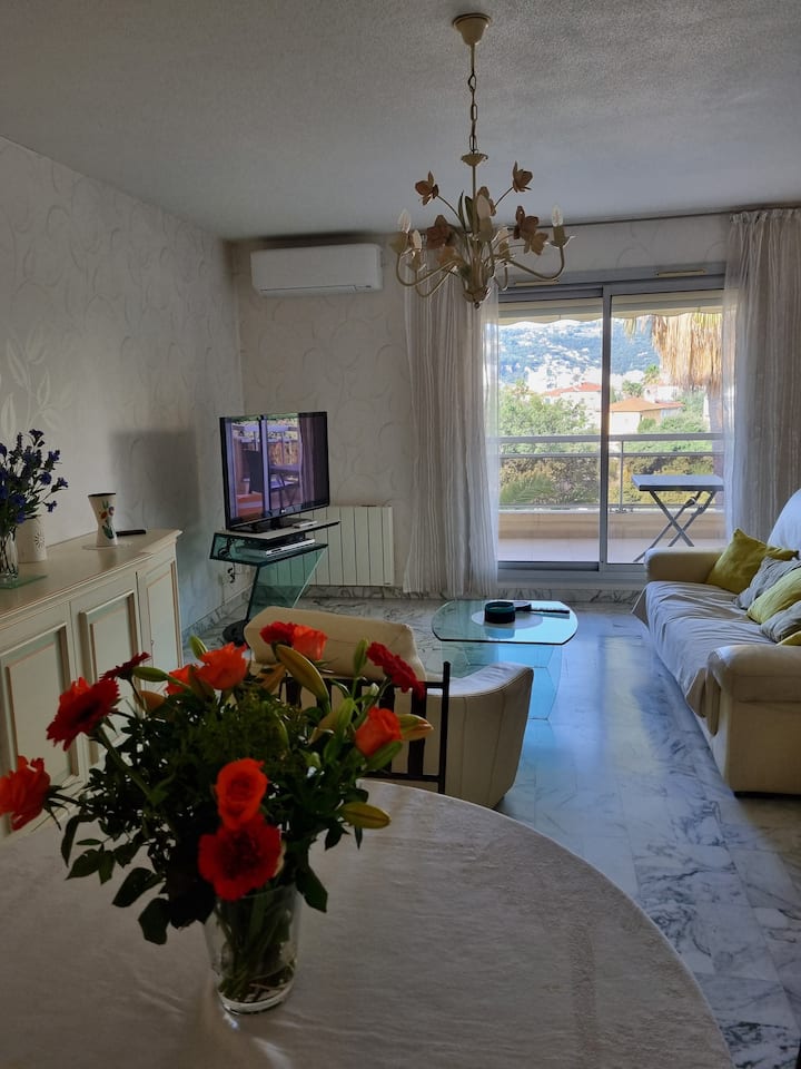 Appartement Meublé Et Piscine - 尼斯