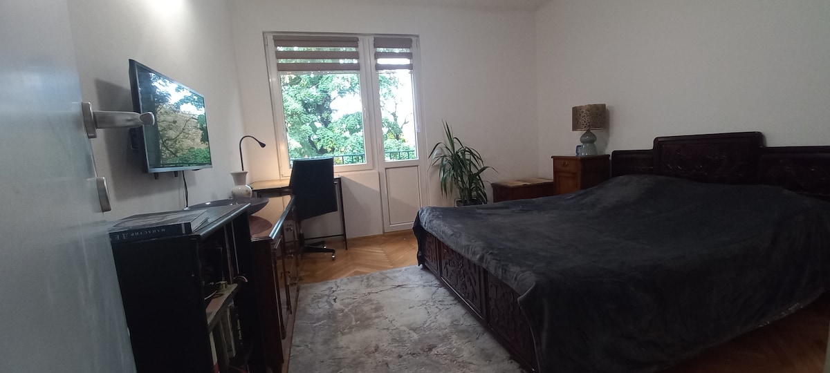 A spacious sleeping area is furnished with a large bed covered by a dark blanket. A flat-screen television is mounted on the wall opposite the bed. Natural light filters through a large window, which is flanked by greenery, and a small desk with a chair is positioned nearby.
