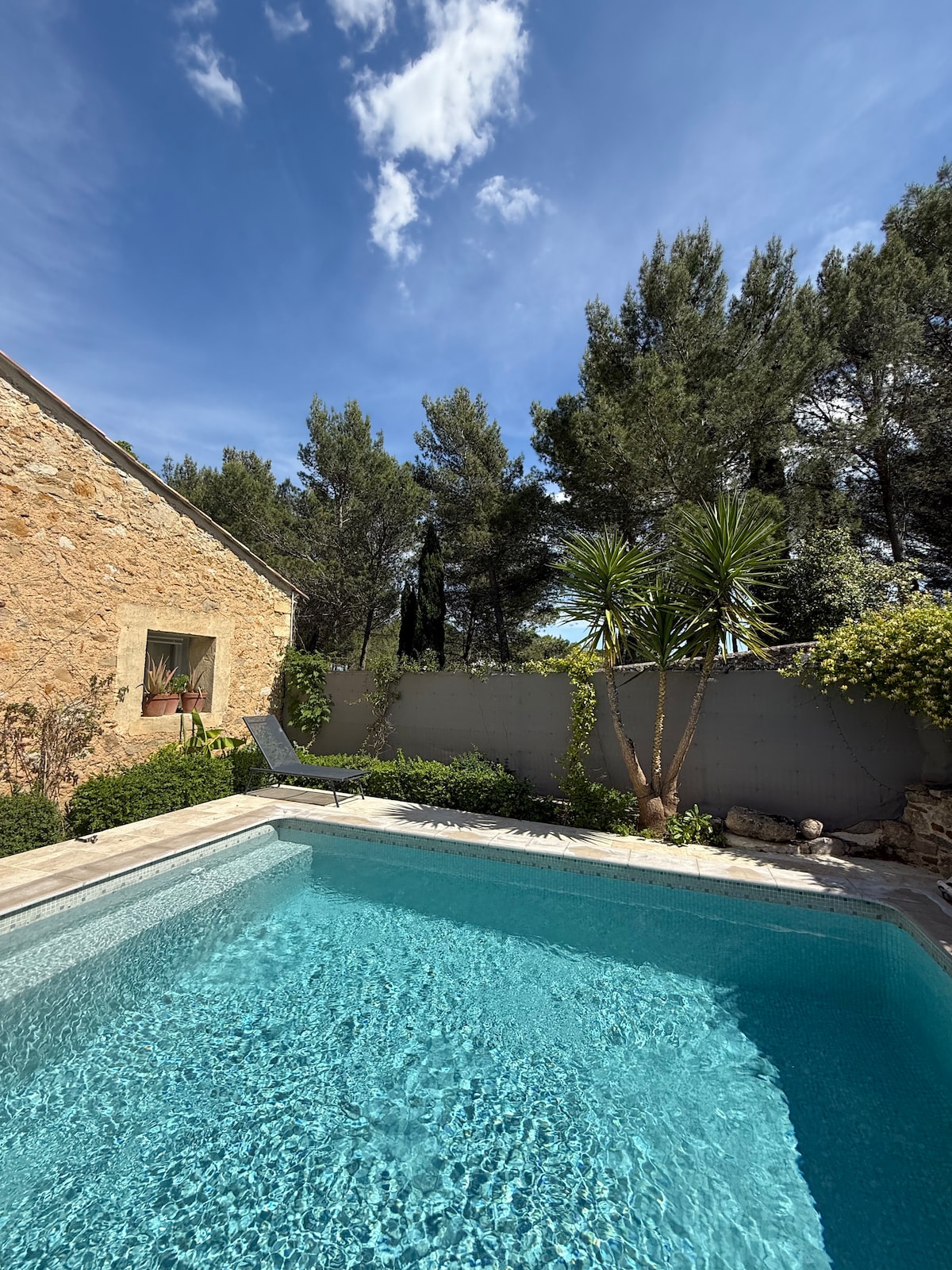A clear swimming pool reflects the blue sky, surrounded by lush greenery and trees. A stone wall provides privacy, while a sun lounger is positioned by the poolside, inviting relaxation in the serene outdoor space.