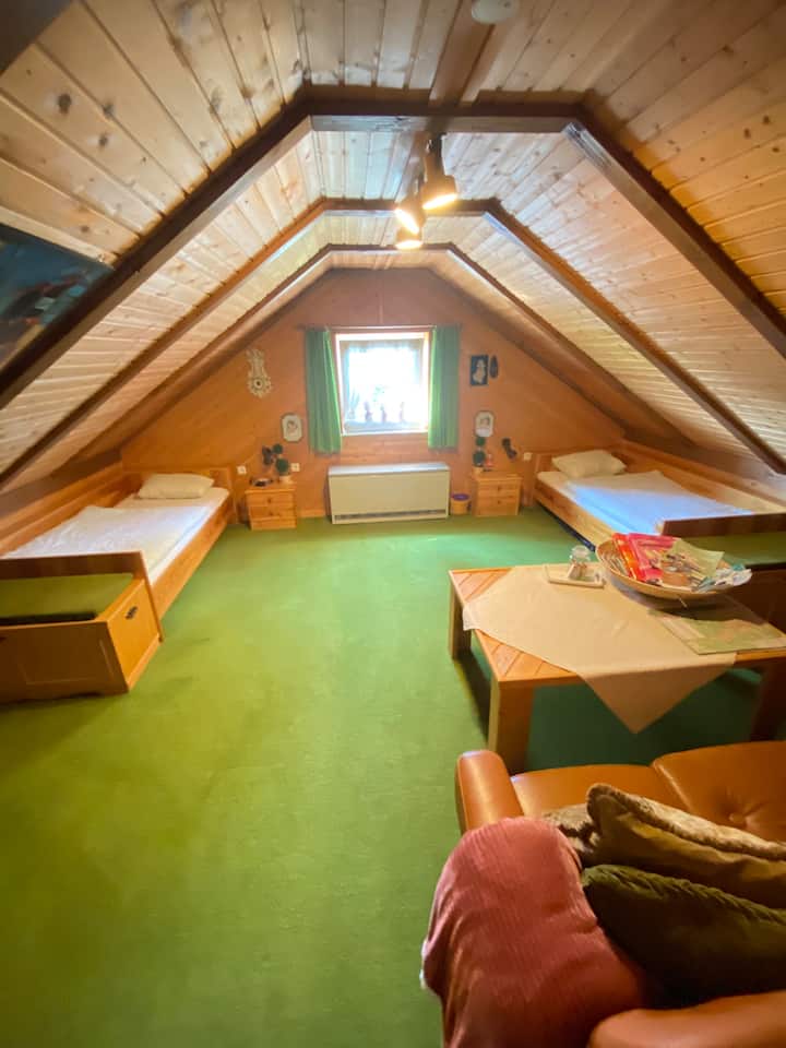 Chambre spacieuse 1, 2 lits, grand canapé et table