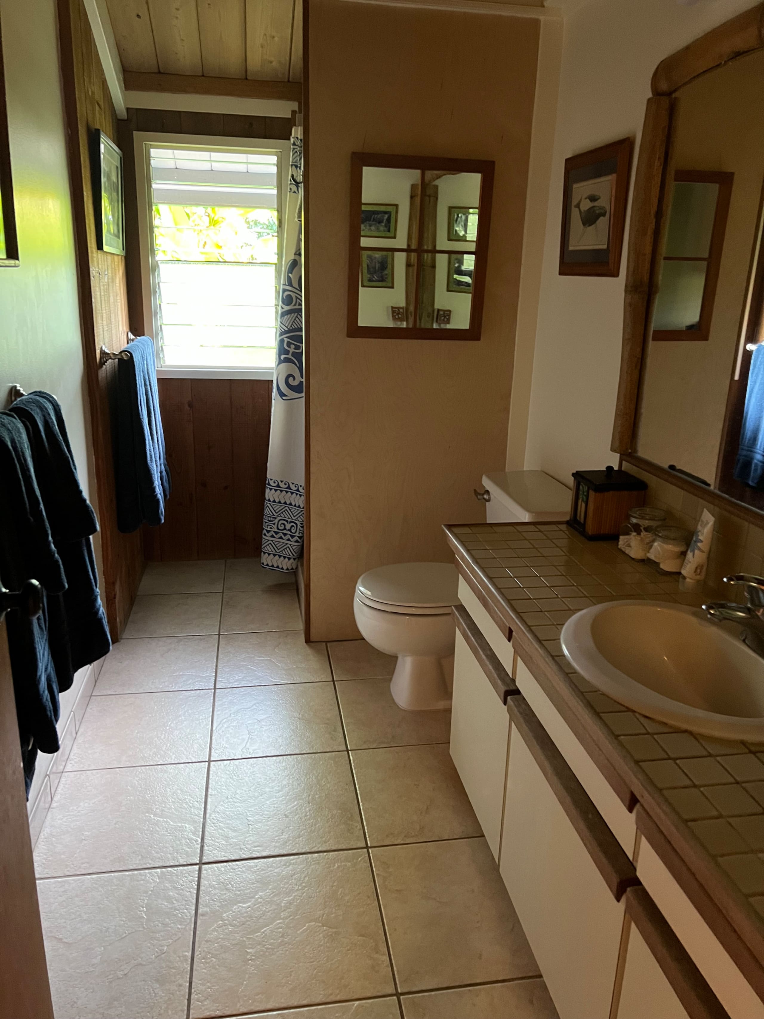 Kilauea Coconut House: TA-167-610-7776-01 TVNC1130 - Photo 29