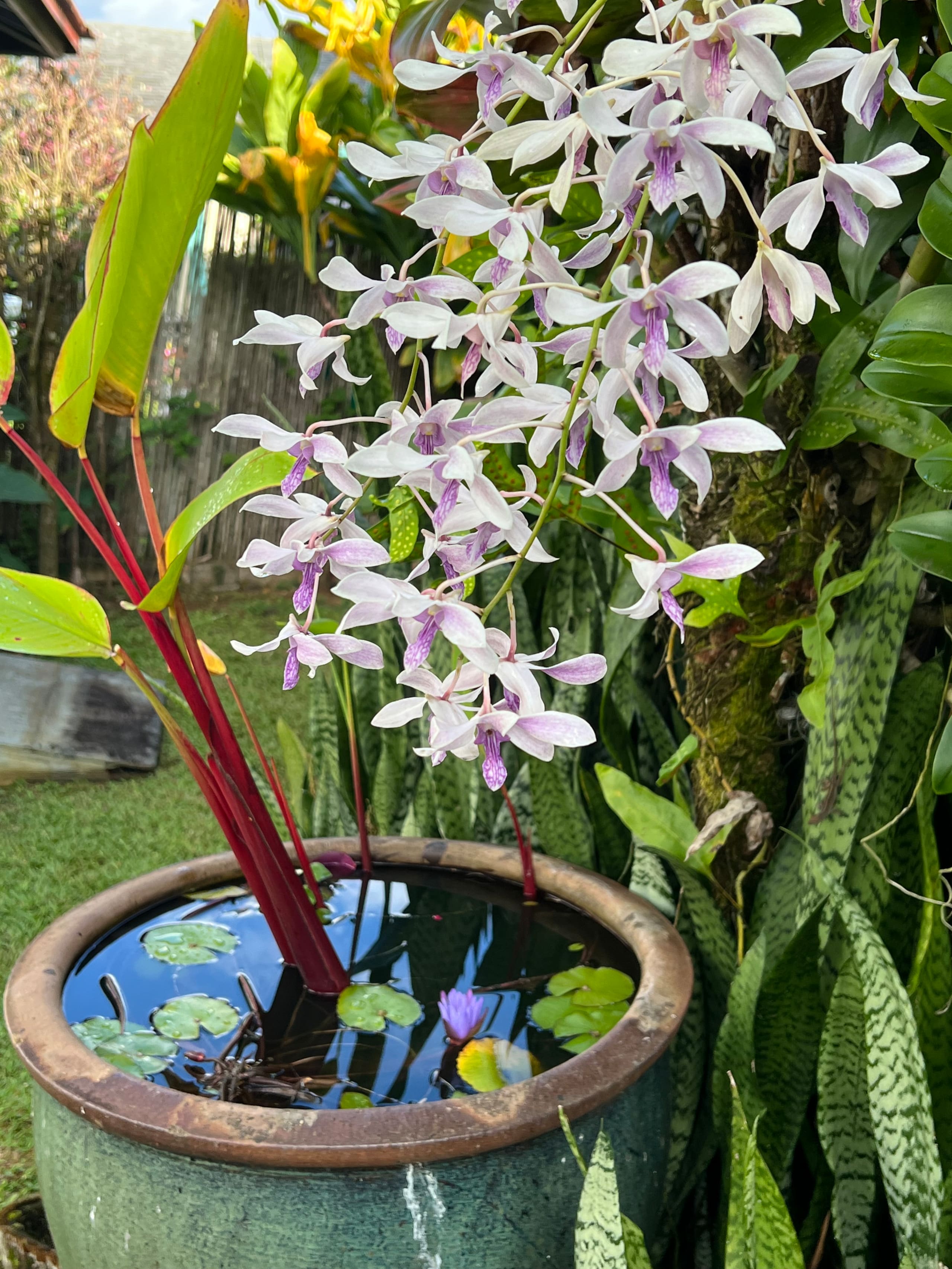 Kilauea Coconut House: TA-167-610-7776-01 TVNC1130 - Photo 39