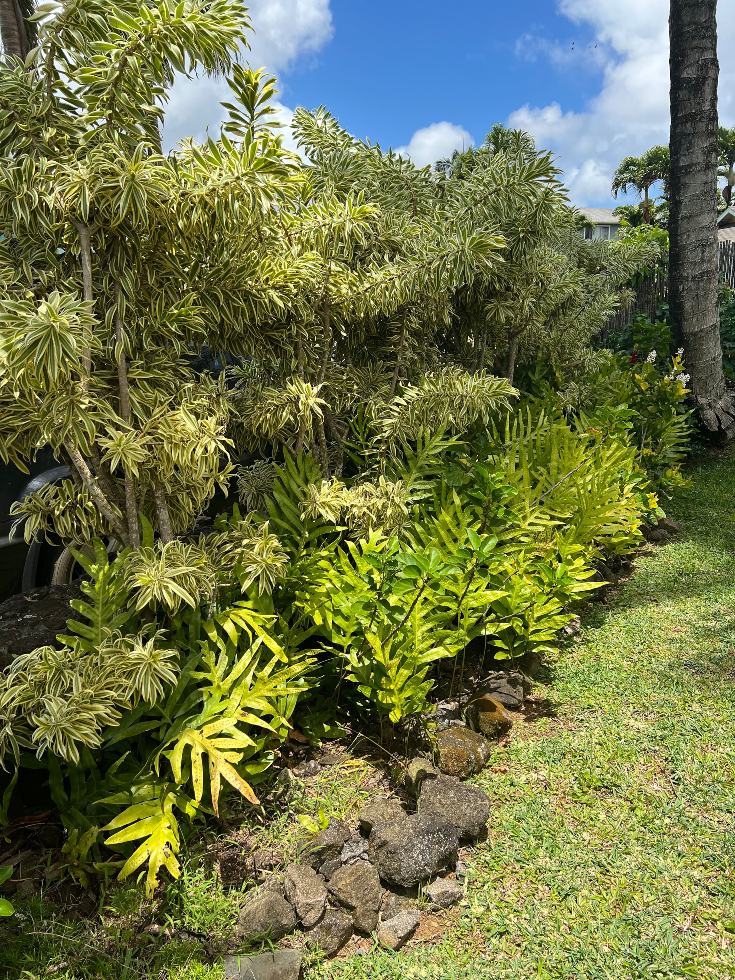 Kilauea Coconut House: TA-167-610-7776-01 TVNC1130 - Photo 36