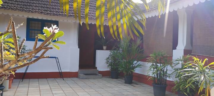 Listing image 169