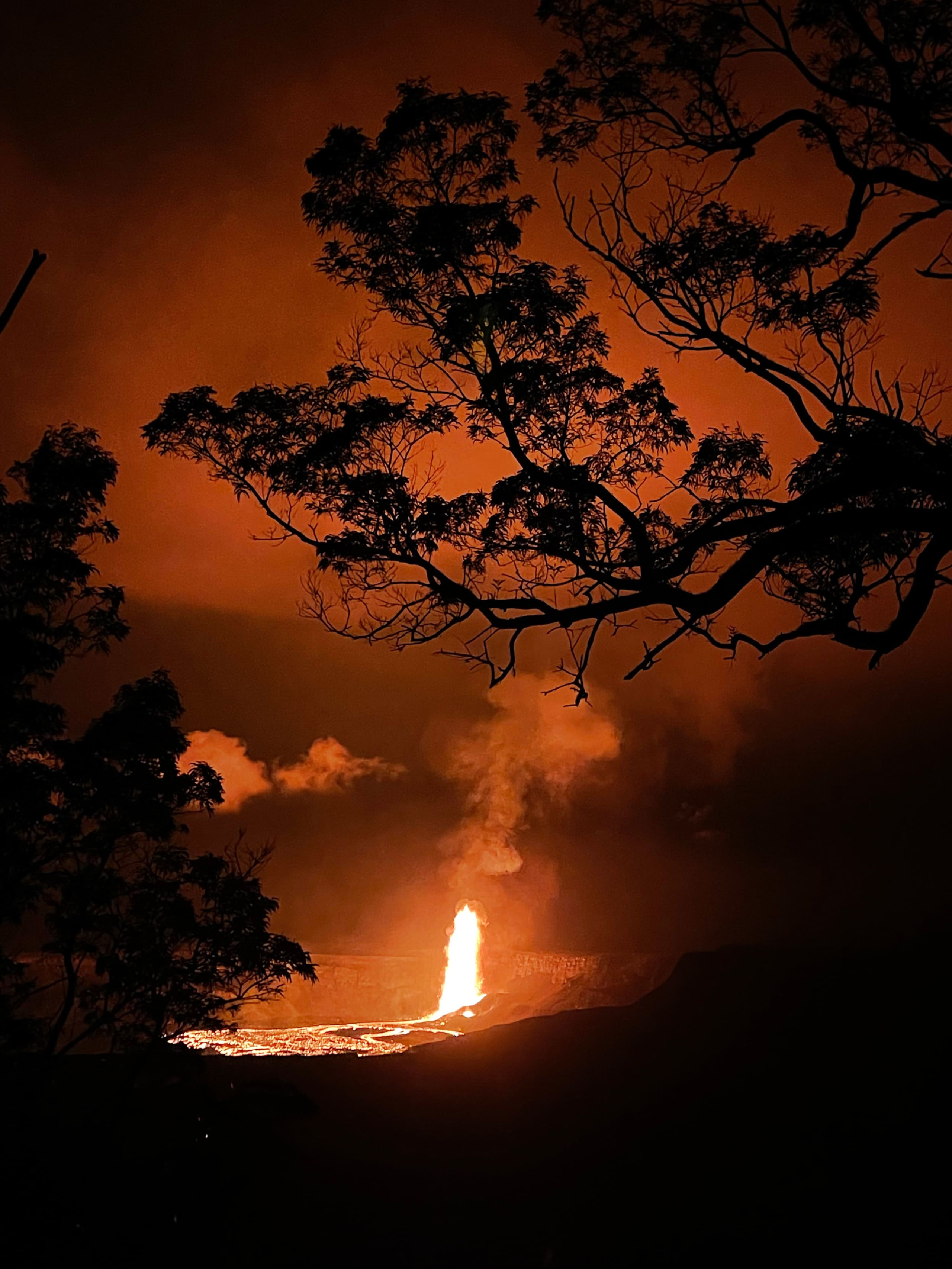 Home in Volcano · ★4.93 · 1 bedroom · 1 bed · 1 private bath - Image 16