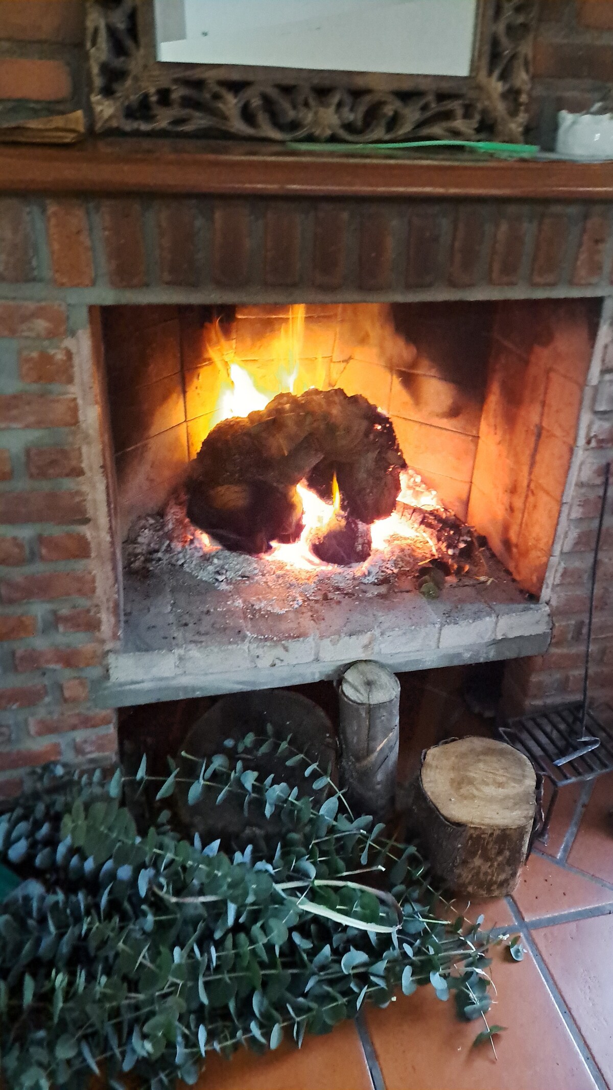 A brick fireplace is seen with a warm fire crackling within. The flames flicker against the textured interior, casting a soft glow. Surrounding the fireplace are logs and a cluster of eucalyptus branches, contributing to a rustic and inviting ambiance.