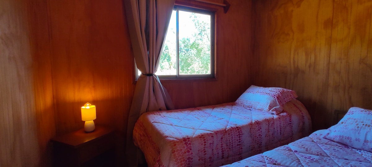 2 camas individuales