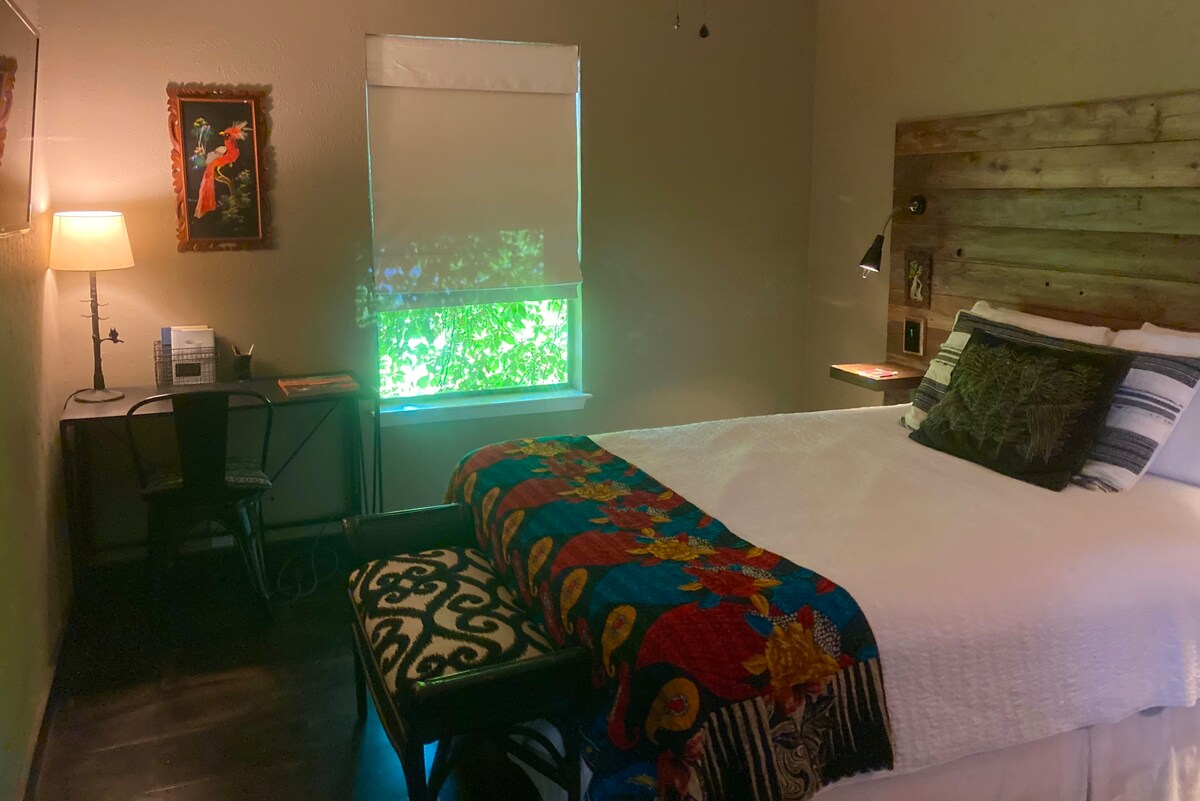 Comfortable Central Apartment with Unique Austin Vibe Perfect for Long-term Stays