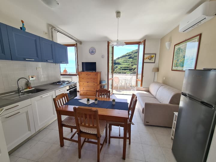 Tracastello Home. Full House With Terrace - Riomaggiore