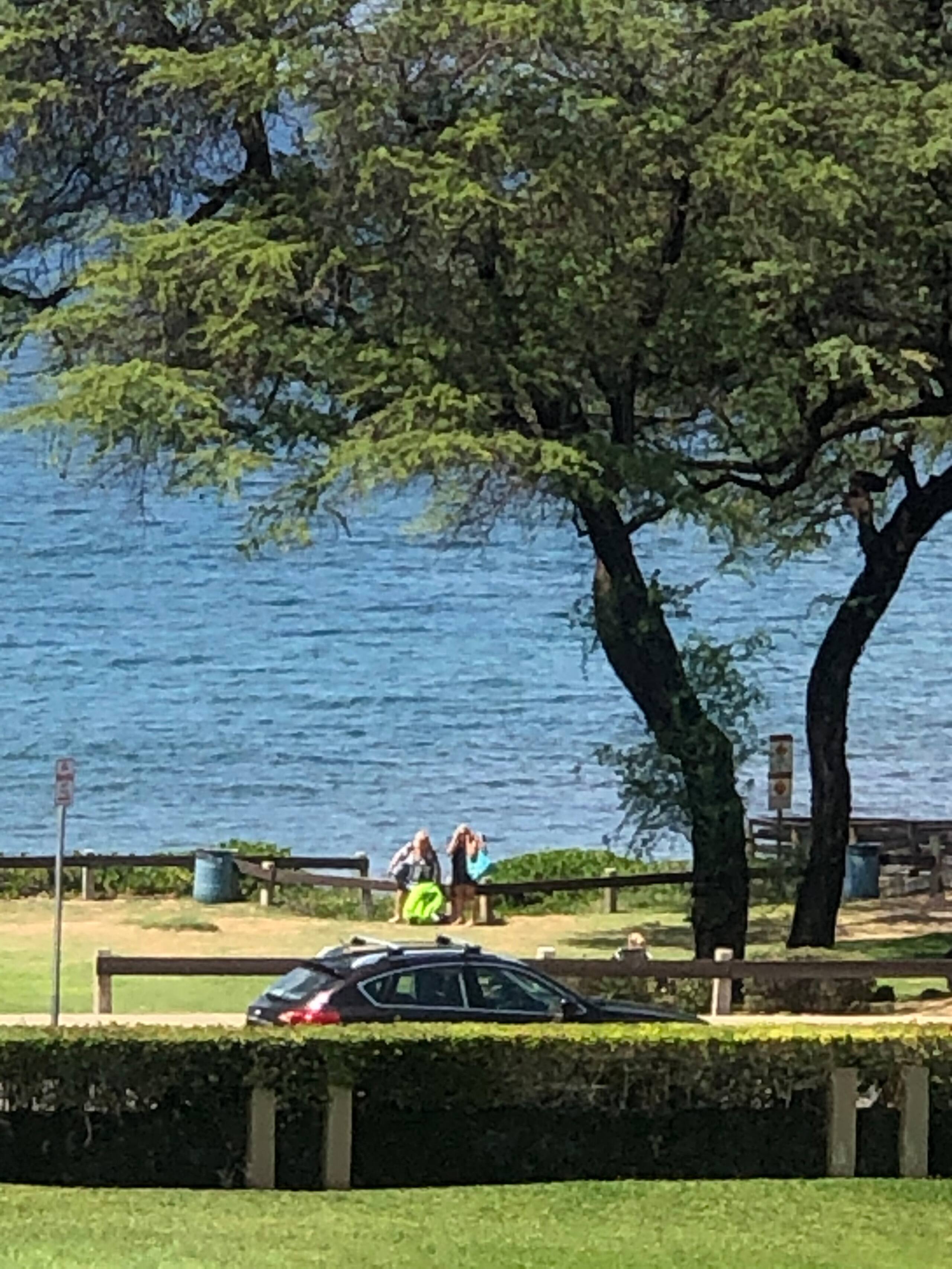Condo in Kihei · ★4.71 · 2 bedrooms · 3 beds · 2 private baths - Image 52