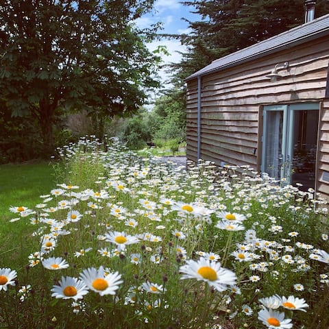 Coastal retreat, woodburner, walk to beaches & pub