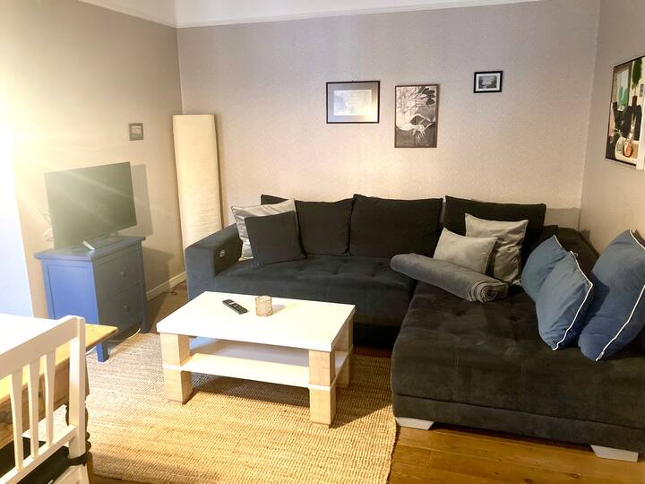 ელექტროგამჭიმვარე დივანი, რომელზეც მწოლიარე მდგომარეობაში 1,40 მ სიგრძეა.