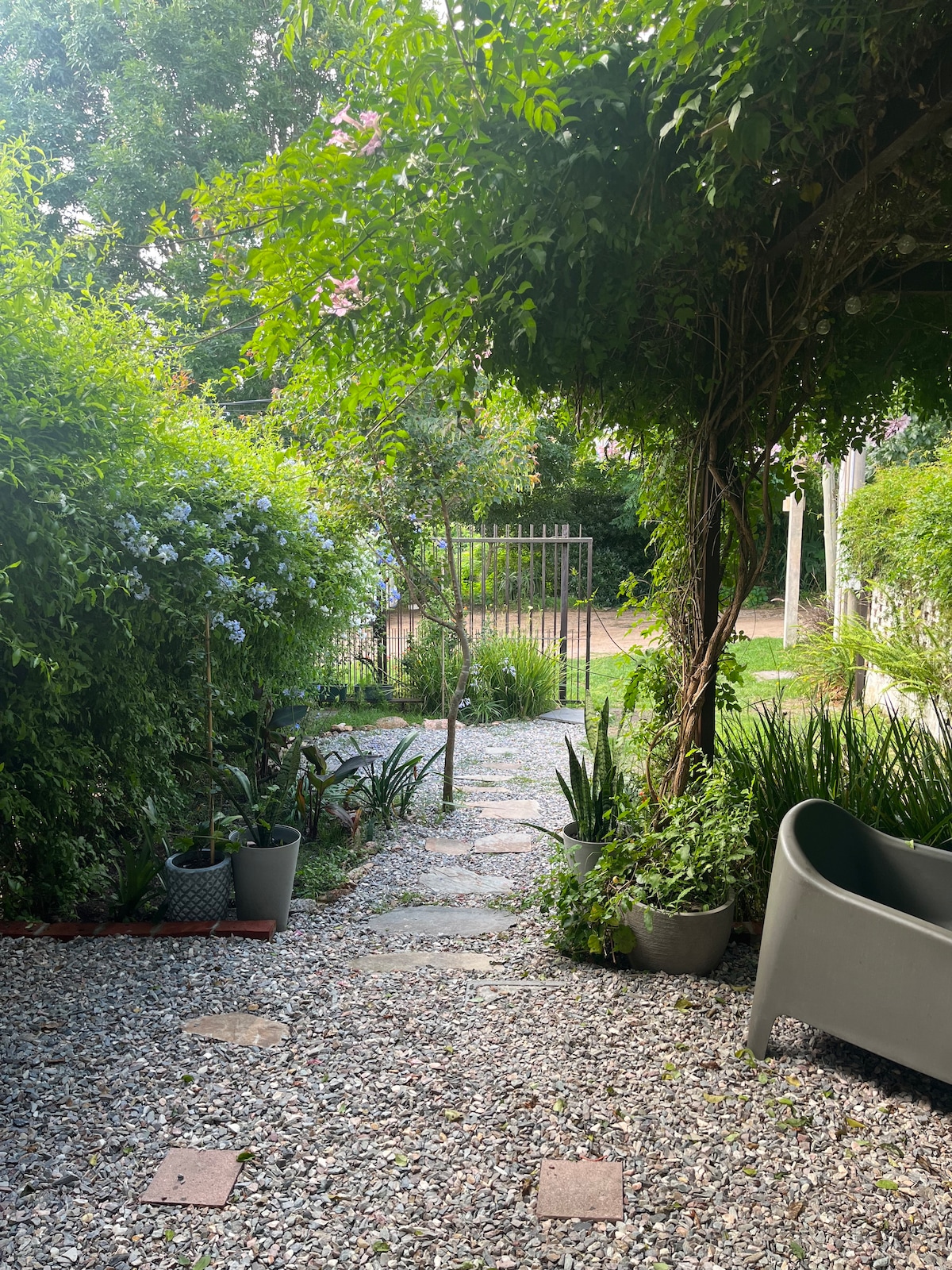 A stone path is lined with decorative gravel, leading through a lush garden filled with green plants and flowering bushes. A gray lounge chair is positioned nearby, while a metal gate provides access to the vibrant outdoor space.