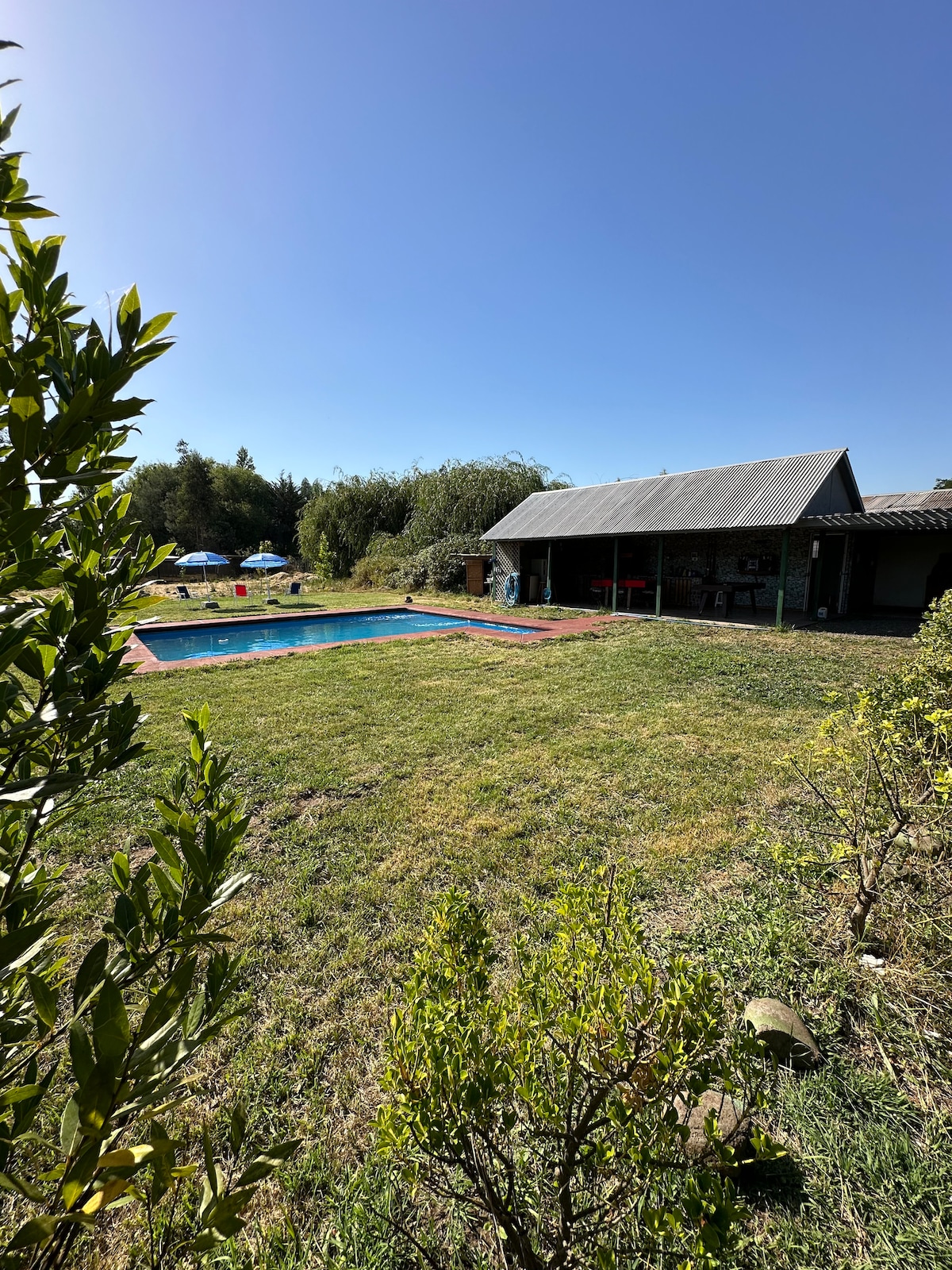 An outdoor area is presented, featuring a rectangular pool surrounded by a grassy lawn. Shade is provided by trees and a covered structure, which houses outdoor seating and a barbecue area. A clear blue sky enhances the tranquil setting.