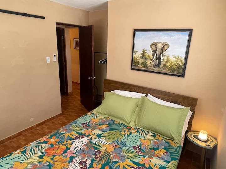 The Elephant Room (bedroom #2: queen bed)
Closet: Shelving Space
Behind door: Hanging Space & Hangers
Bedside lamp with multi-USB ports
Small mirror on wall
2 Windows
AC with remote control