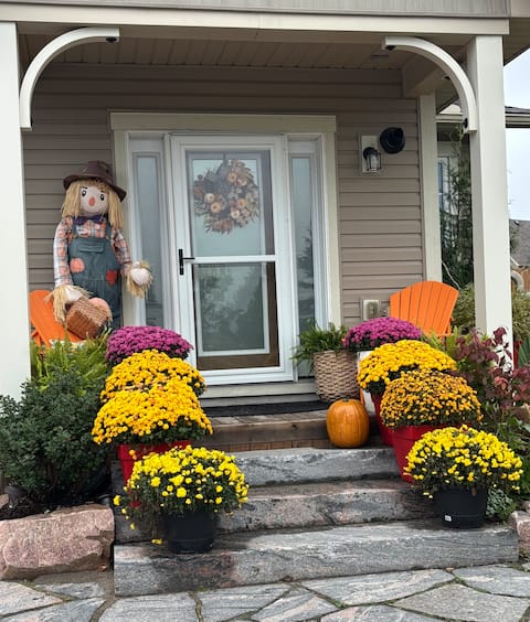 Wifi, Free parking, Ski, Kitchen, Laundry, TV, BBQ