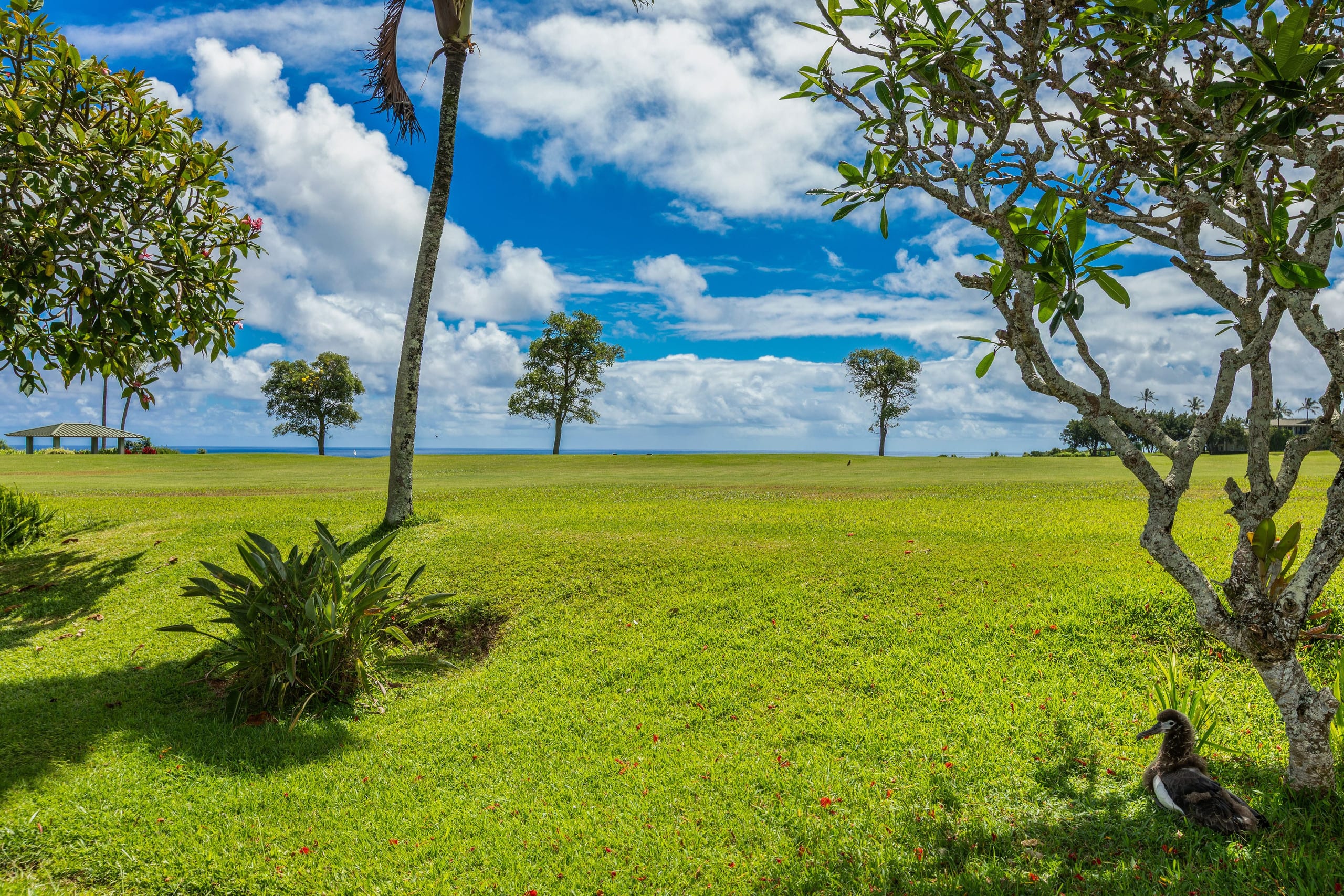 Condo in Princeville · ★4.79 · 2 bedrooms · 2 beds · 1 bath - Image 22