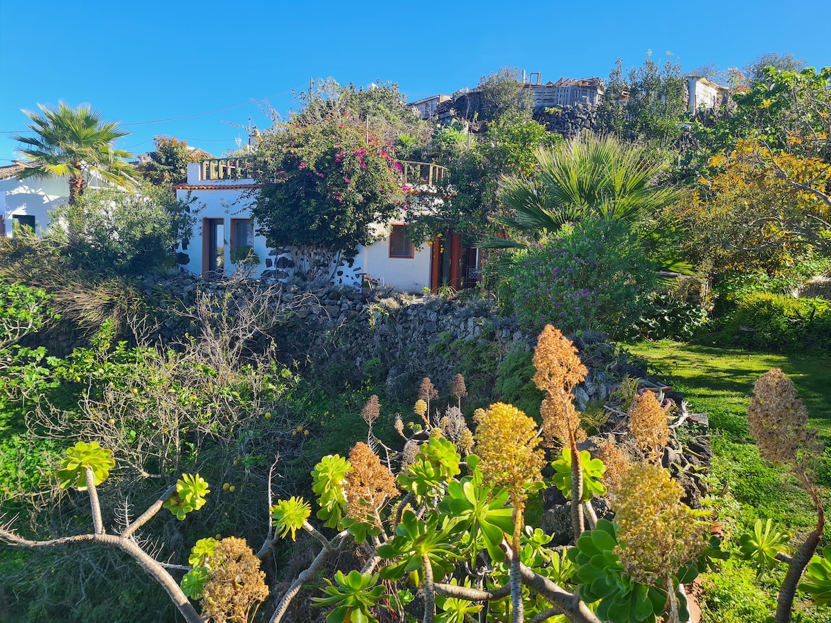 The image captures the exterior of a charming house surrounded by lush greenery and flowering plants. A balcony with a railing is visible, enhancing the natural setting. The vibrant colors of the foliage contrast with the house, creating a harmonious atmosphere within the garden.