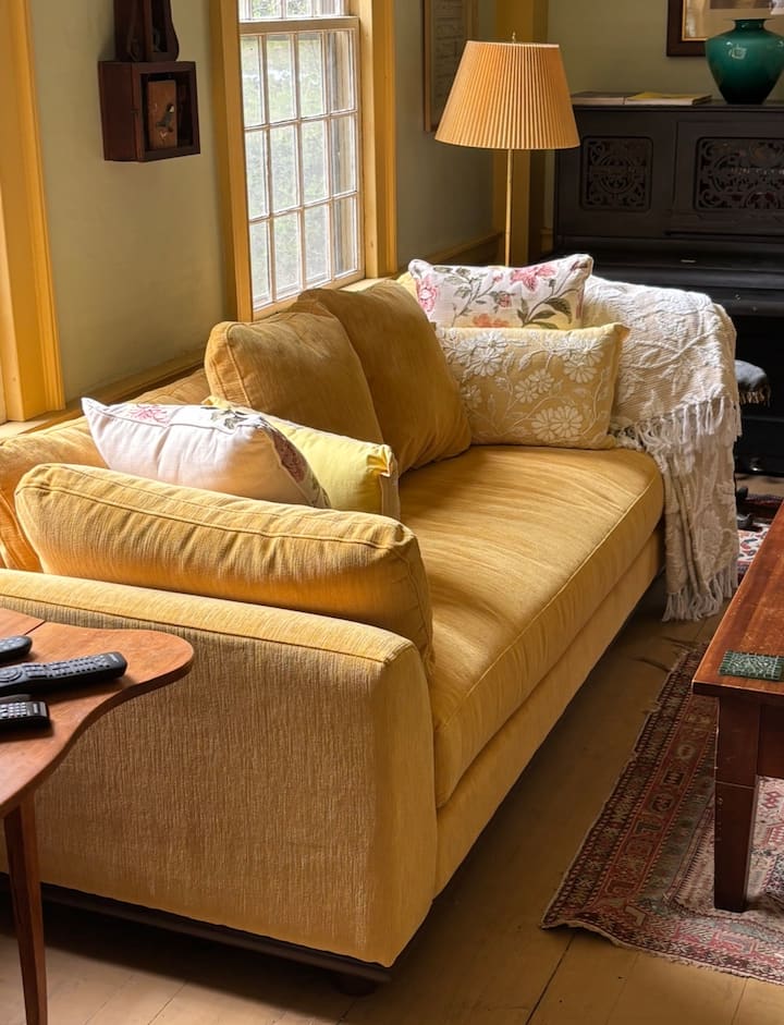 Sofa new in 2026. May be used as a single bed with mattress pad & fitted bottom sheet. See linen closet within Canopy Bedroom.