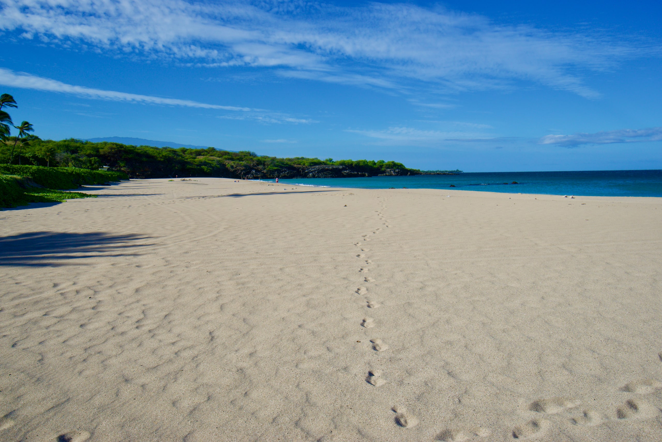 Home in Waimea · ★5.0 · 3 bedrooms · 6 beds · 3 baths - Image 52